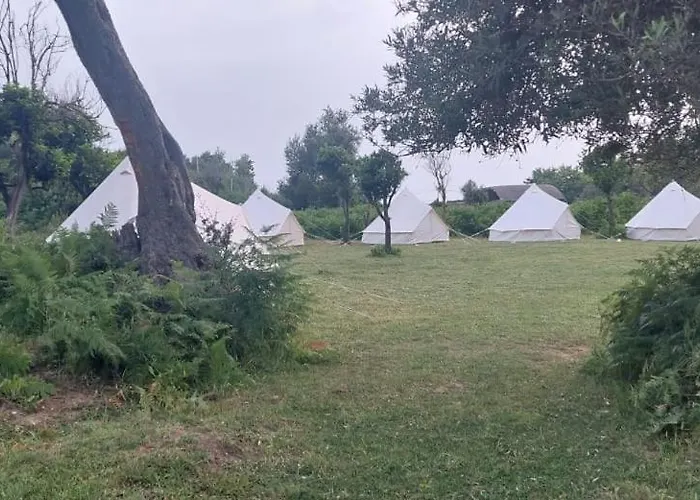 Riverside Bunec Campo de lujo